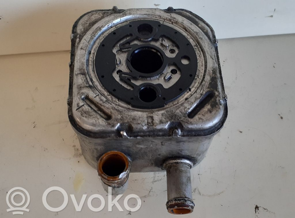 Radiator ulei motor   059117021B