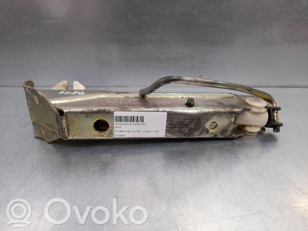 Peugeot 307 Gato 