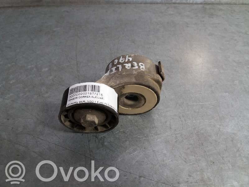 Diržo įtempėjas   541273
