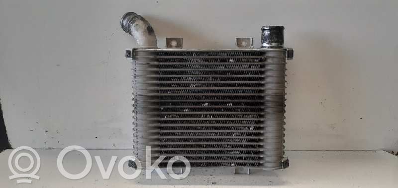 Radiatore intercooler   281904A21X
