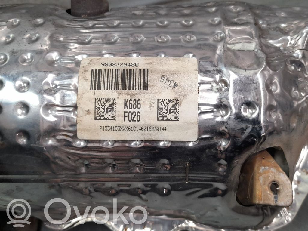 Citroen C4 II Filtru de particule catalizator/FAP/DPF 