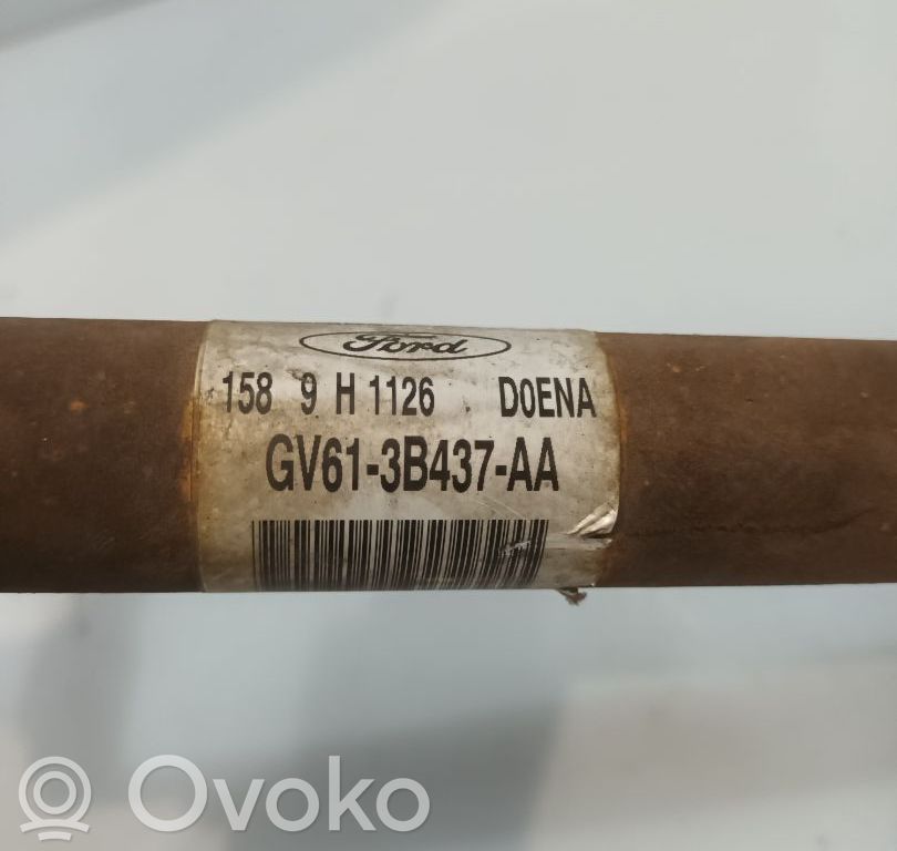 Eje de transmisión delantero   GV613B437AA