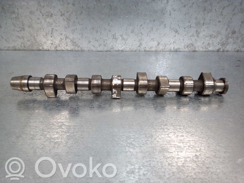 Audi A3 S3 8L Albero a camme 