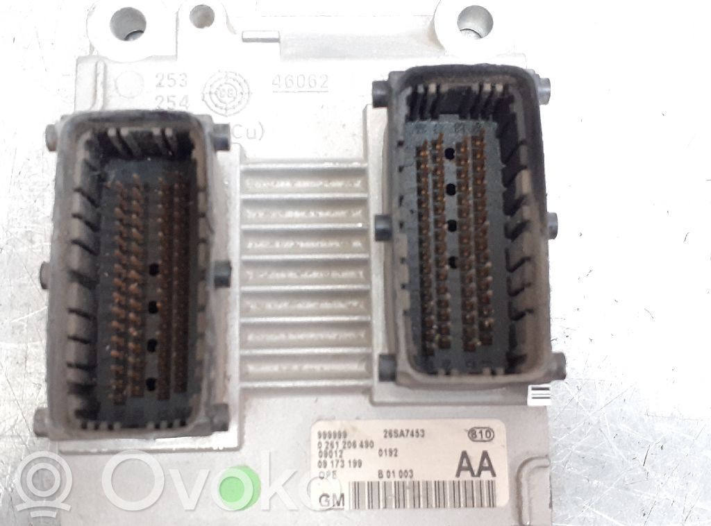 Engine control unit/module   09173199