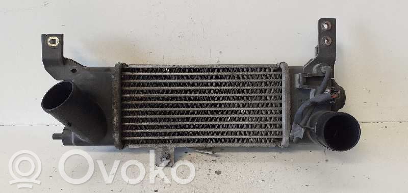 Interkūlerio radiatorius   RF4P13565A