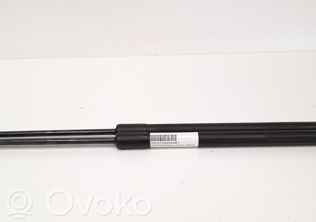 Amortizor hayon   D65162620