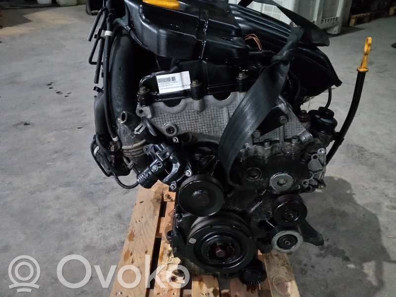 Motor   204D4