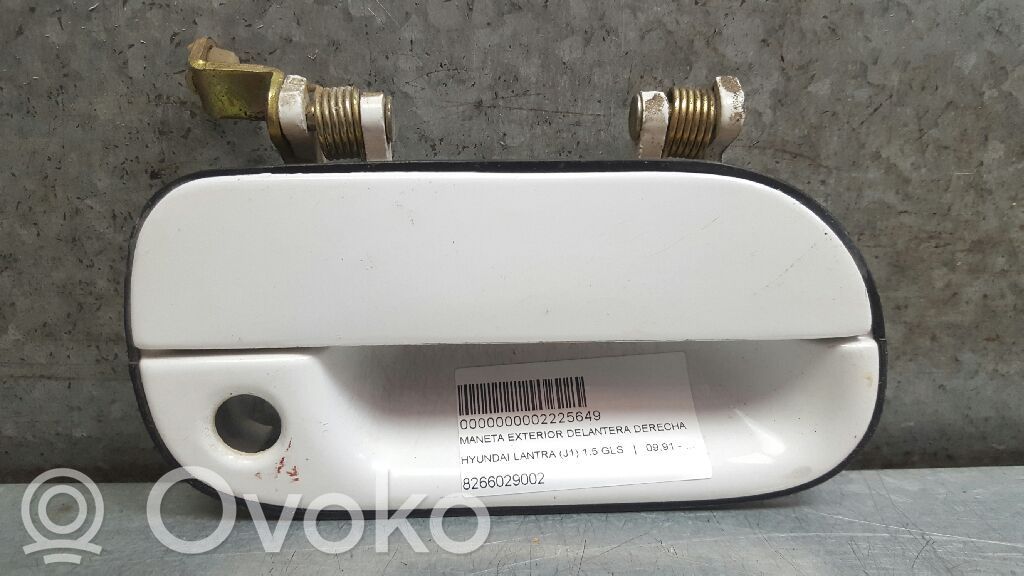 Manecilla externa puerta delantera   8266029002