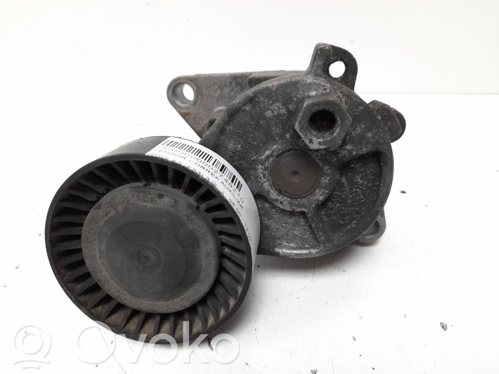 Întinzător curea generator/alternator   11281427252