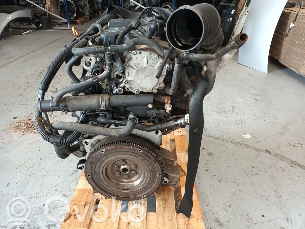 Volkswagen Polo IV 9N3 Motore 