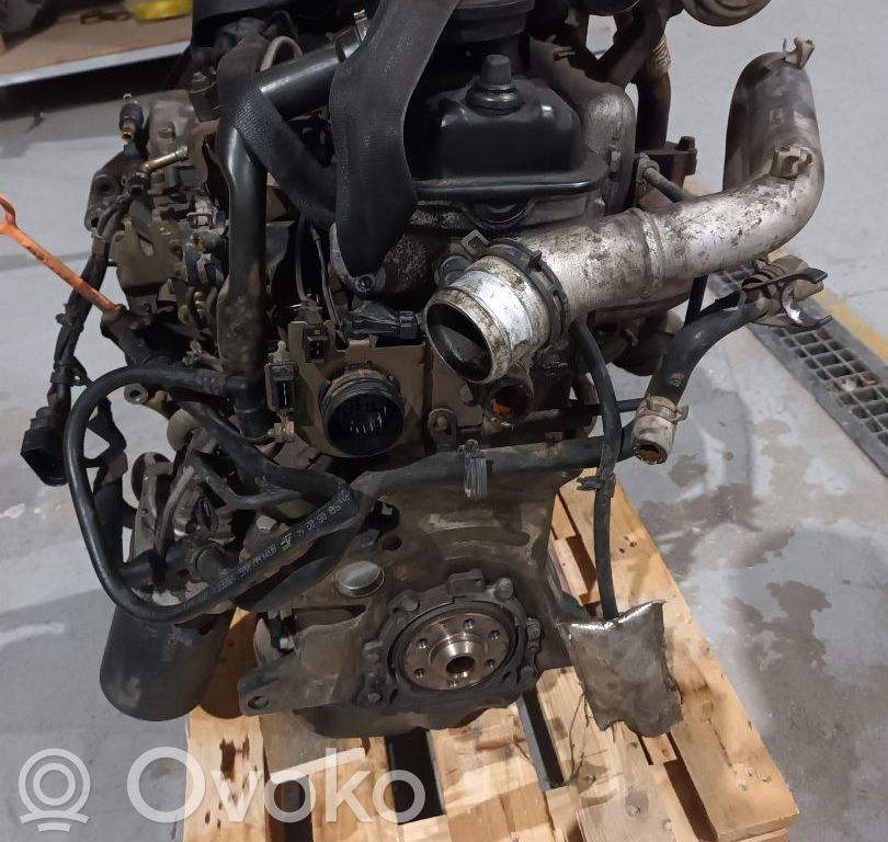 Motor   AFN
