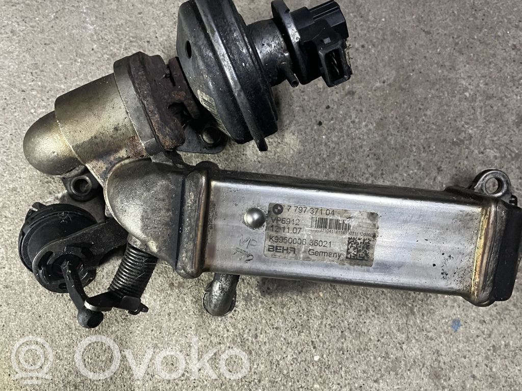 EGR aušintuvas   7797371