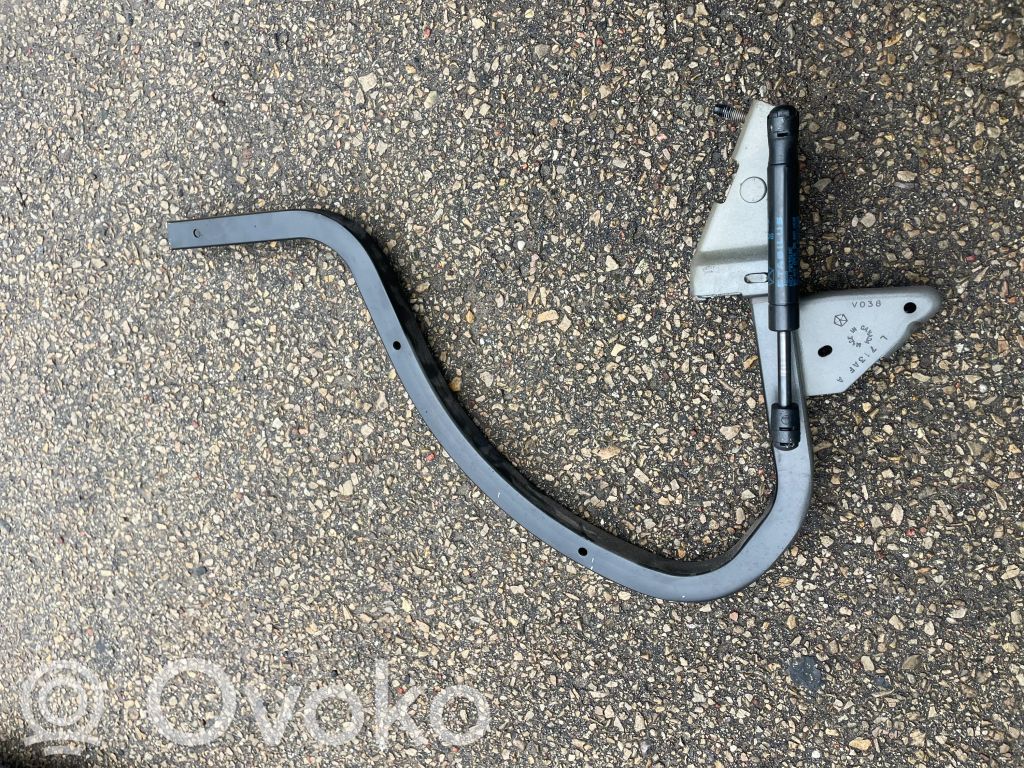 Tailgate/trunk/boot hinge   713AF