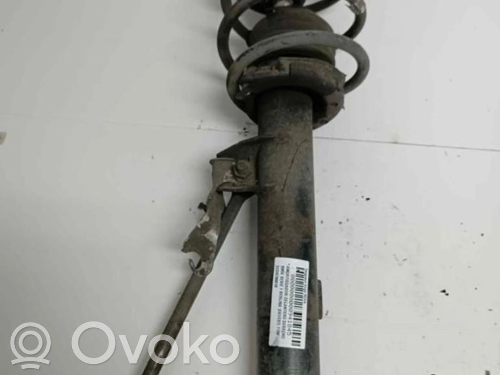 Amortiguador delantero   31316786018