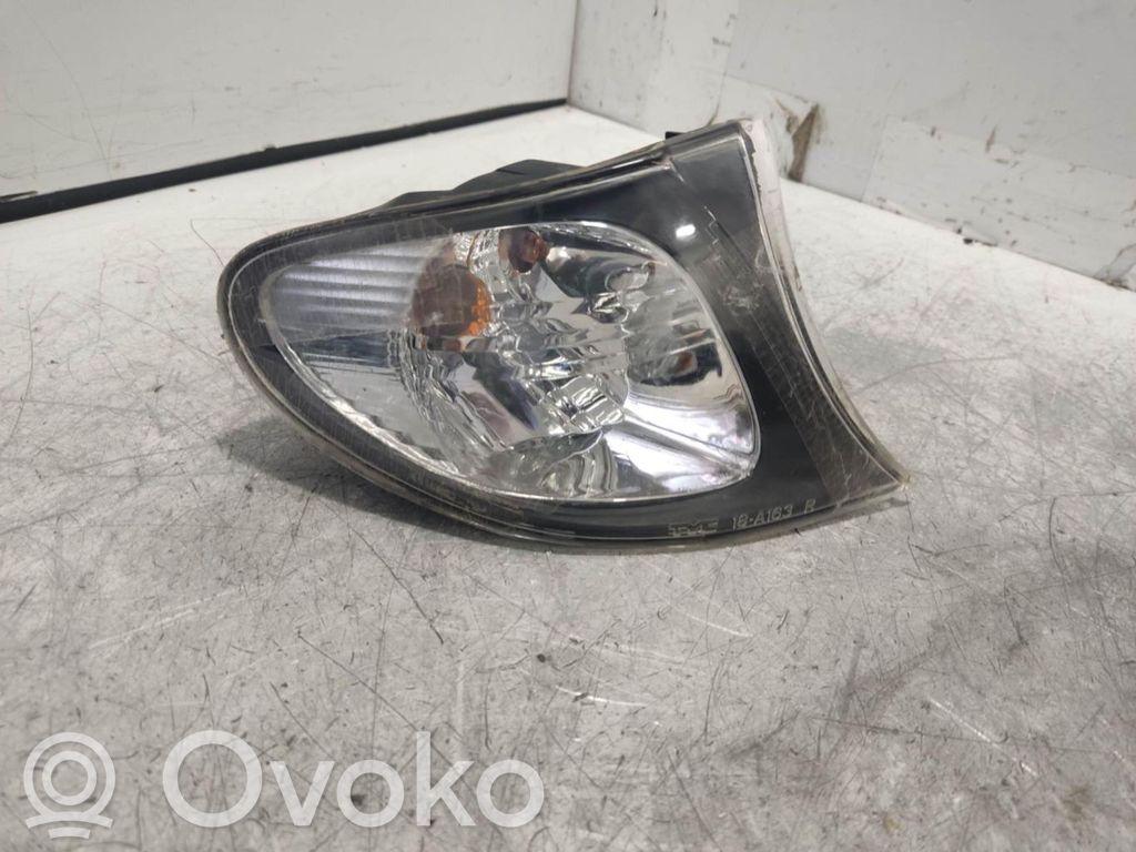 BMW 3 E46 Frontblinker 