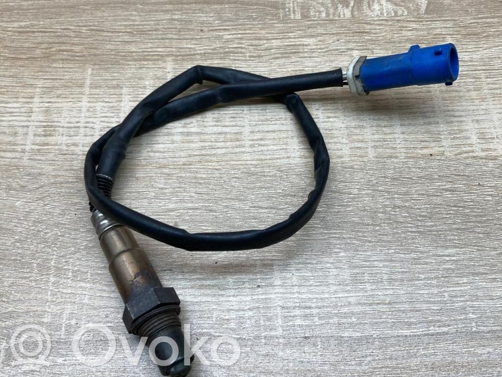 Ford Focus Lambda zondas 