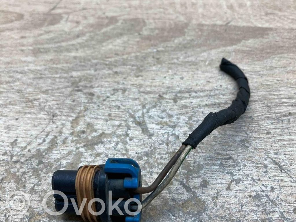 Plug wire   1382189,2PIN