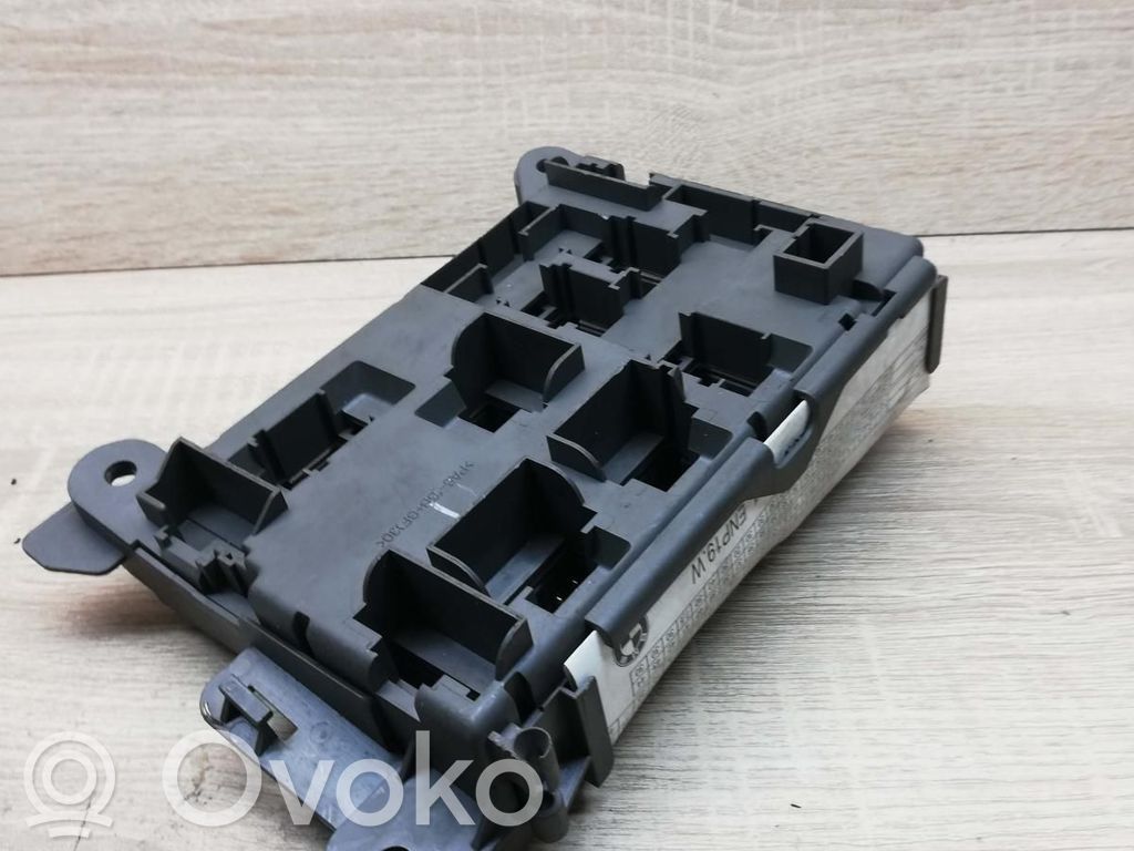 Fuse module   061109161257
