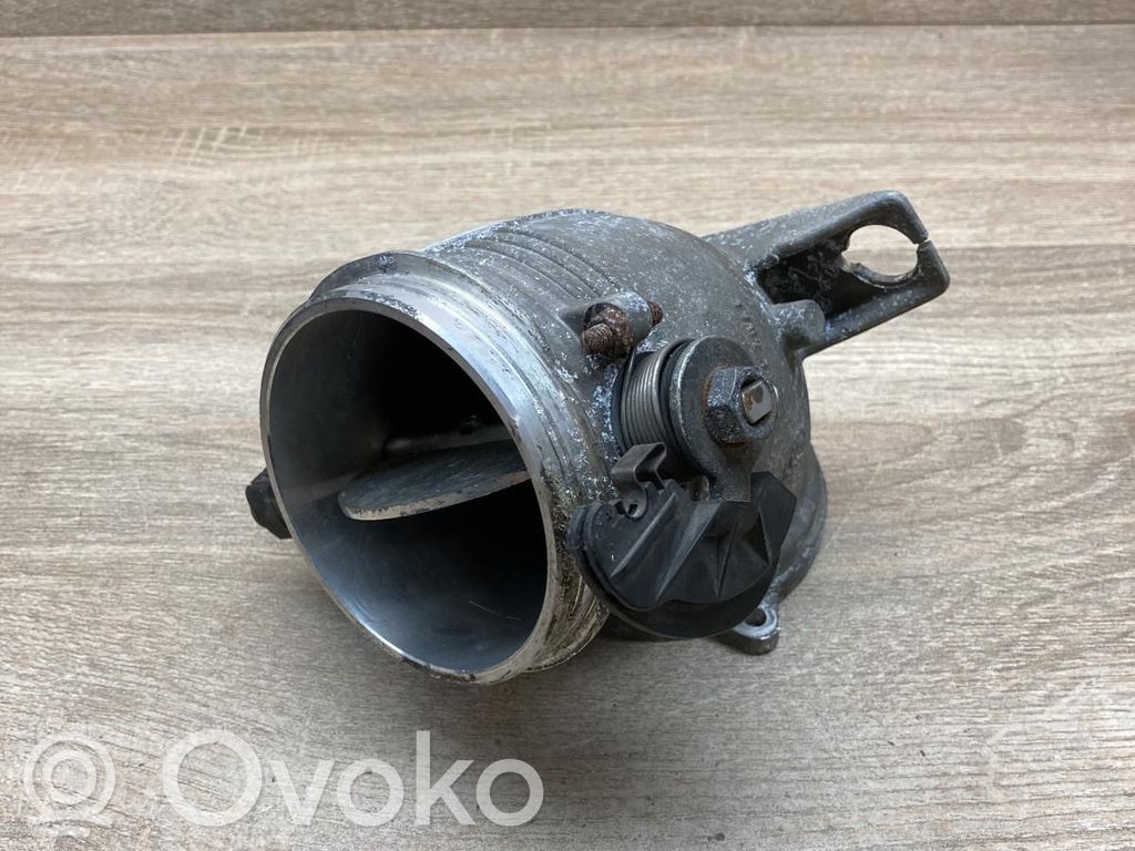 Drosele   17021229
