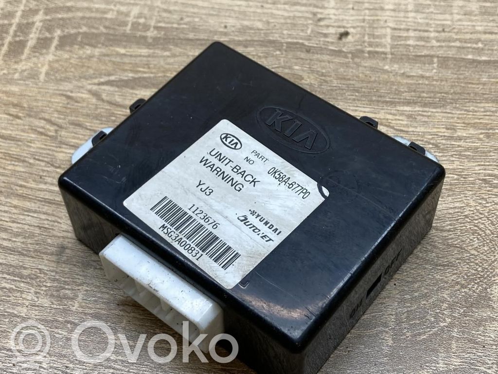 KIA Carnival Other control units/modules 