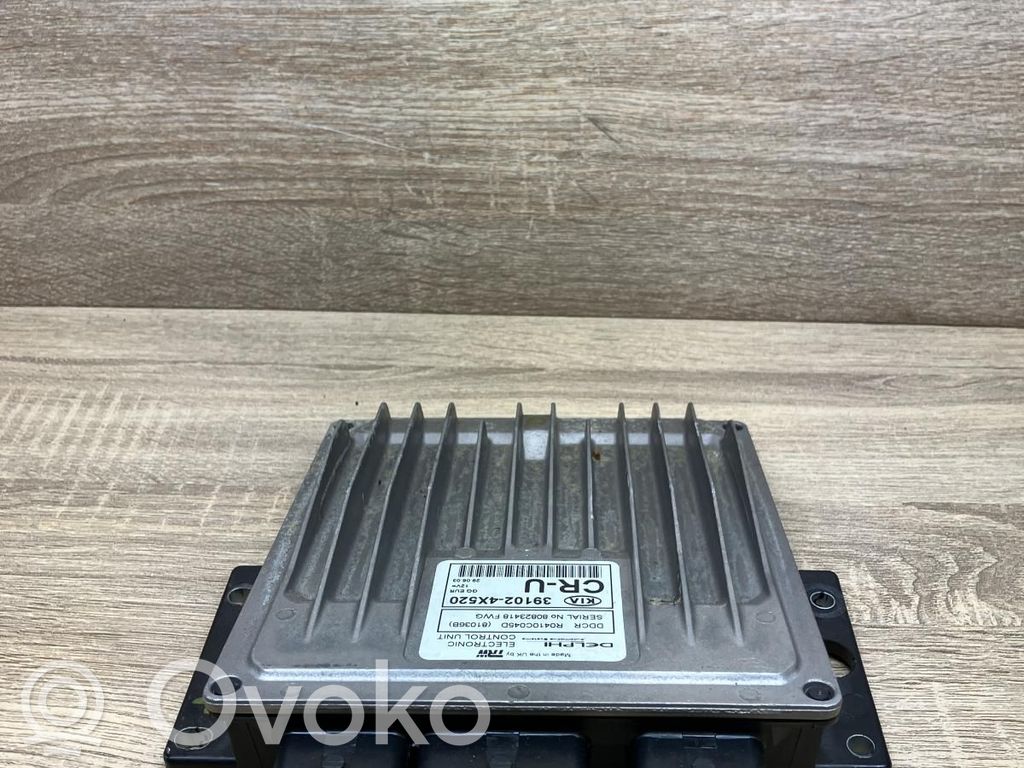 Engine control unit/module   391024X520,80823418