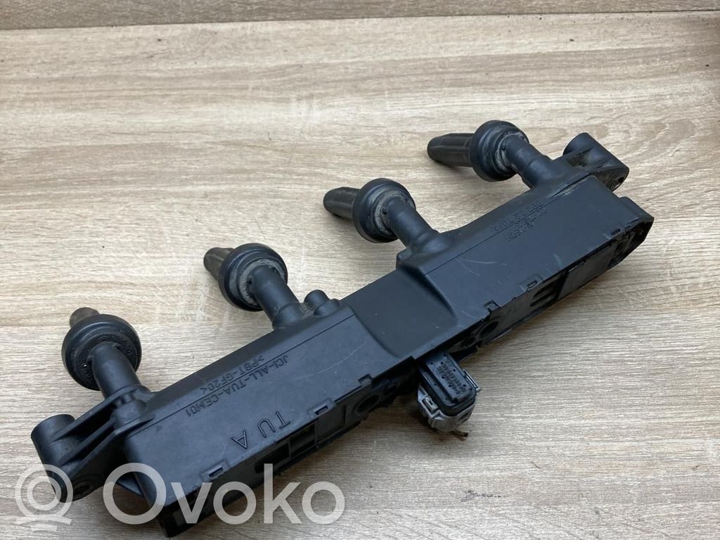 Citroen C3 Aukštos įtampos ritė "babyna" 