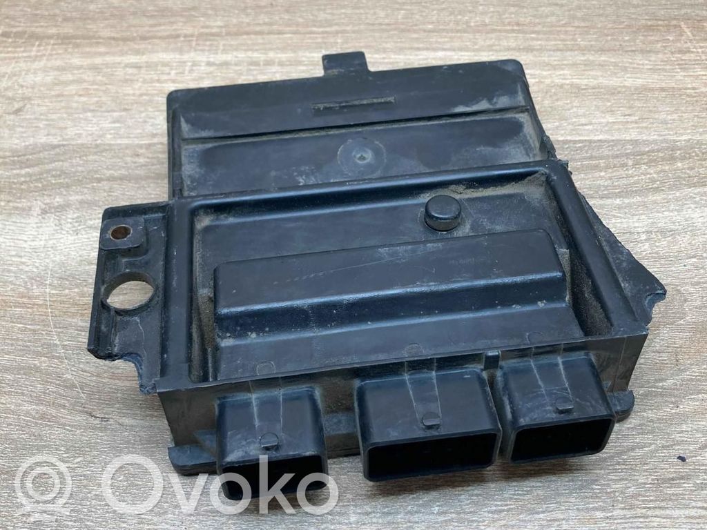 Komputer / Sterownik ECU silnika   8200212348,HOM8200222917