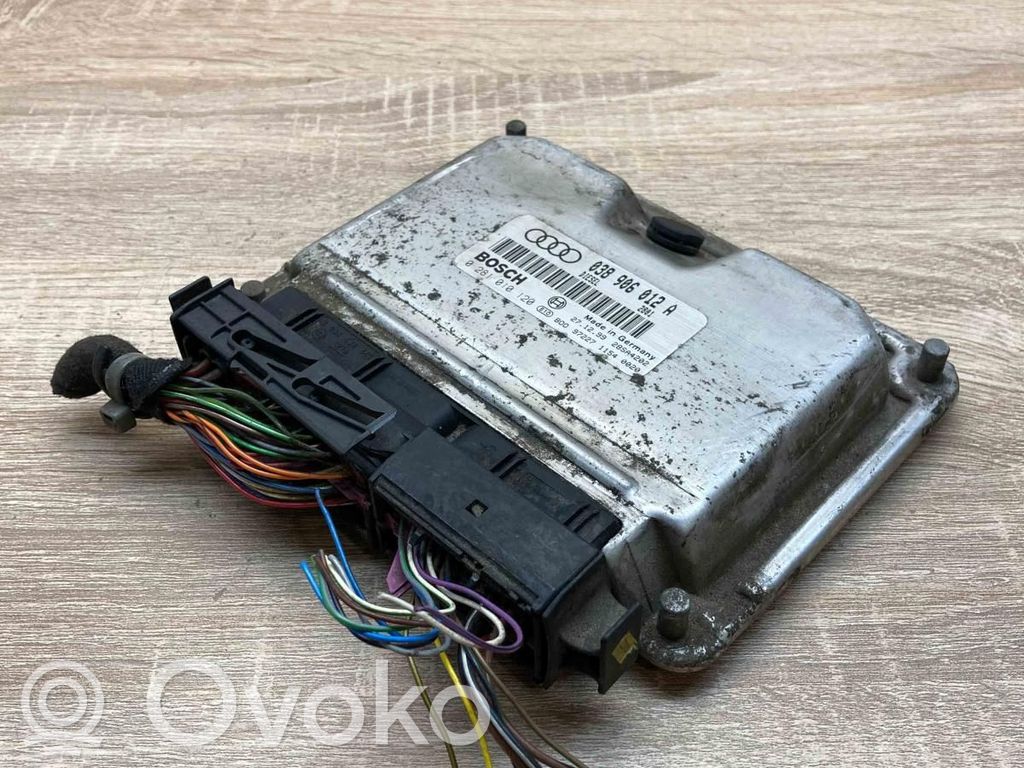 Engine control unit/module ECU   038906012A,0281010120
