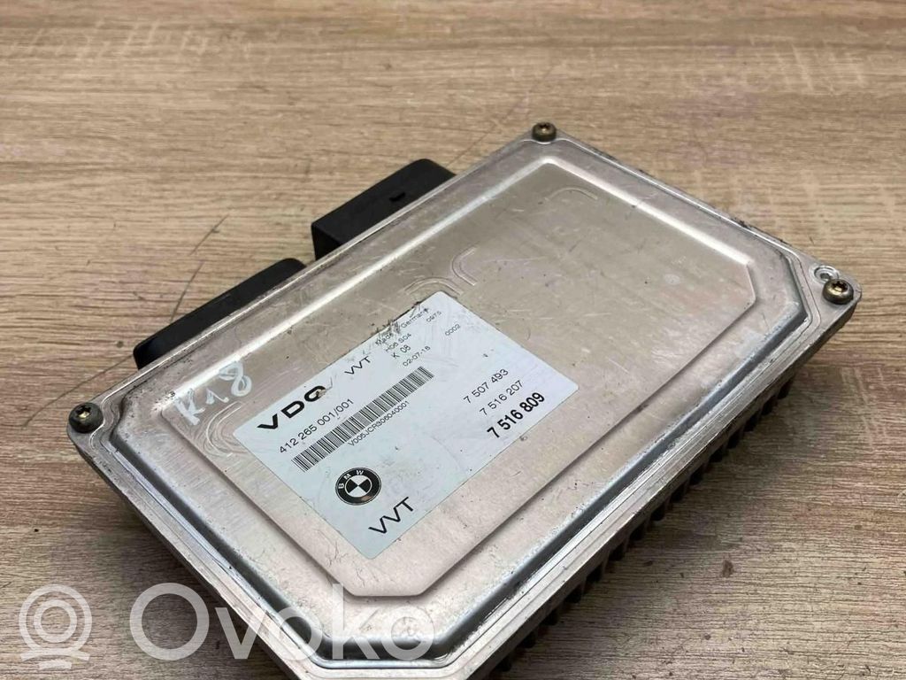 Engine control unit/module ECU   7516809,7507493,7516207