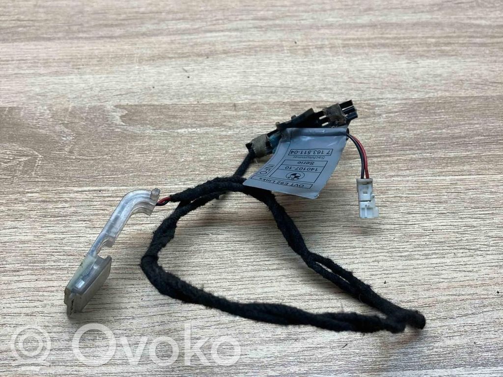 Luz de manecilla de puerta (externa)   7163511,DOORHANDLELIGHTING