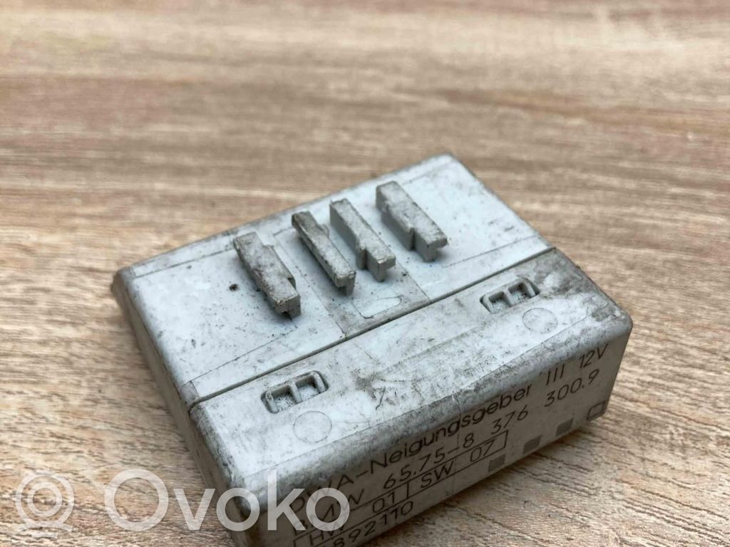 BMW 3 E46 Alarm relay 