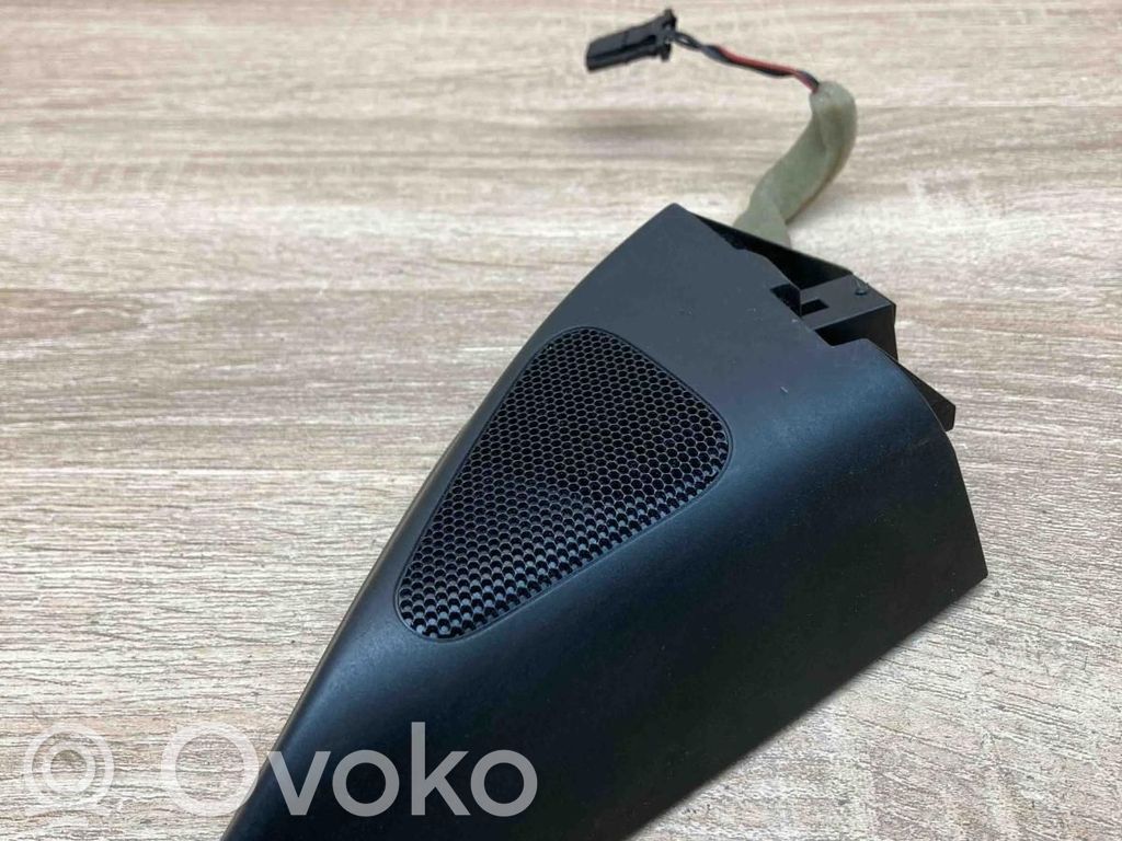 Volkswagen PASSAT B7 Tweeter ușă față 