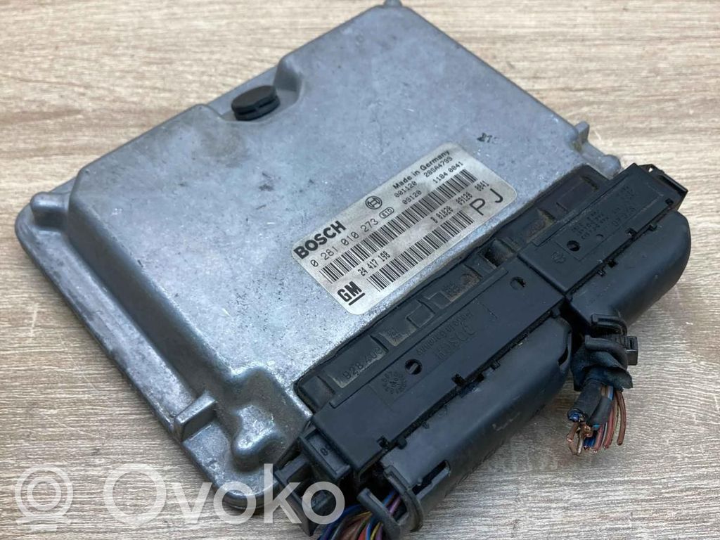 Engine control unit/module ECU   24417198,0281010273,PJ