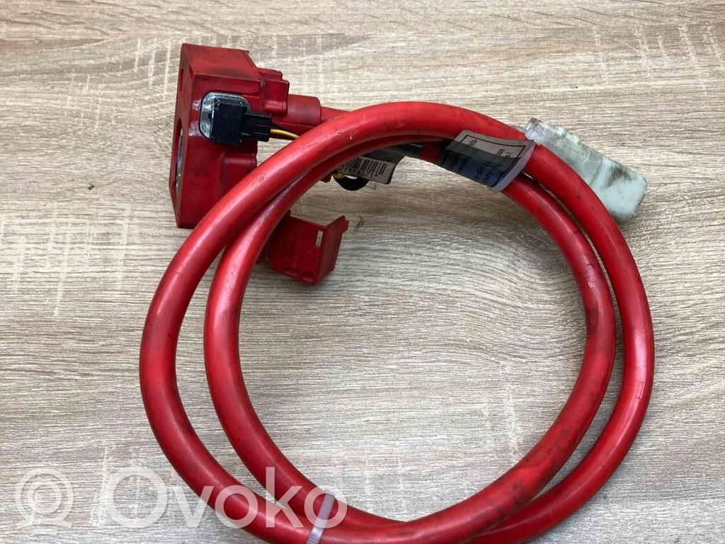Pluskaapeli (akku)   6989781,6989782