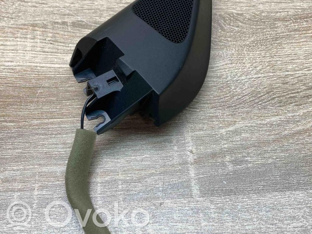 Volkswagen PASSAT B7 Tweeter ușă față 