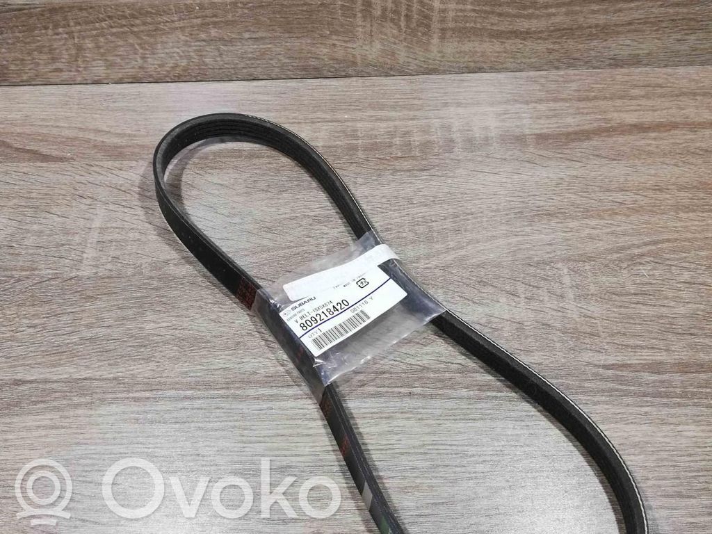 Subaru Outback Cinghia dell’alternatore 