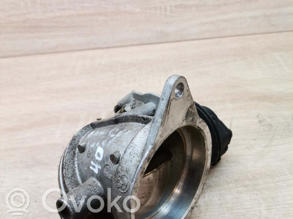 Drosele   1703562