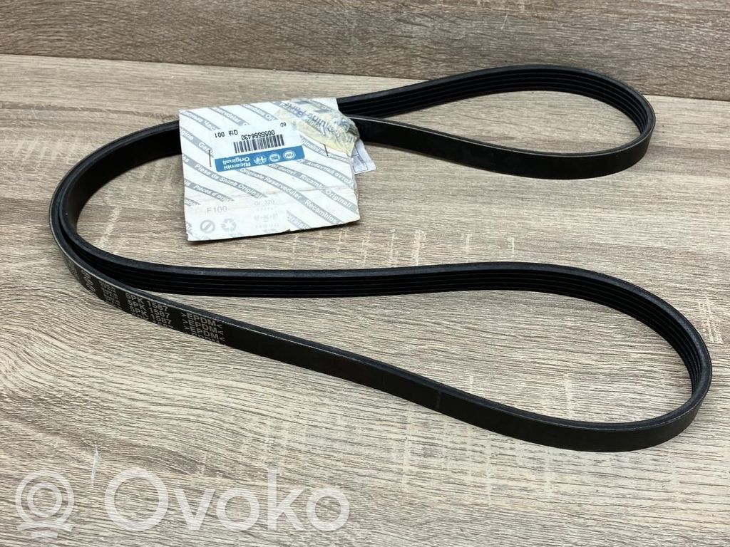 Lancia Ypsilon Alternator belt 