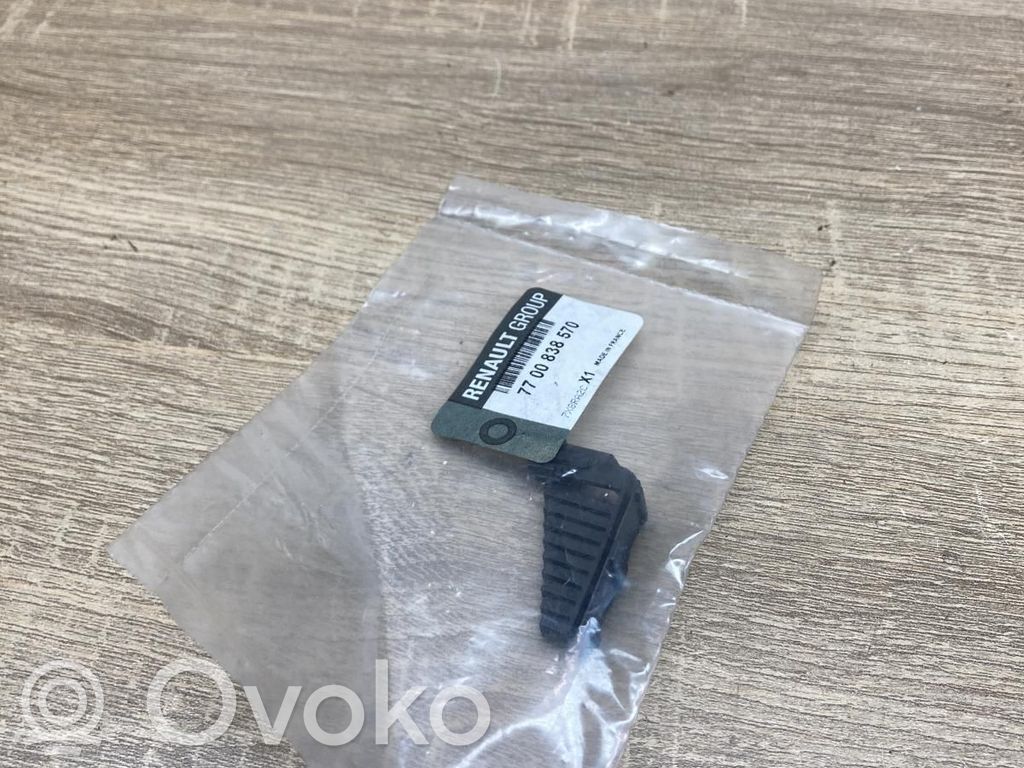 Renault Clio II Priekinio stiklo apdaila 