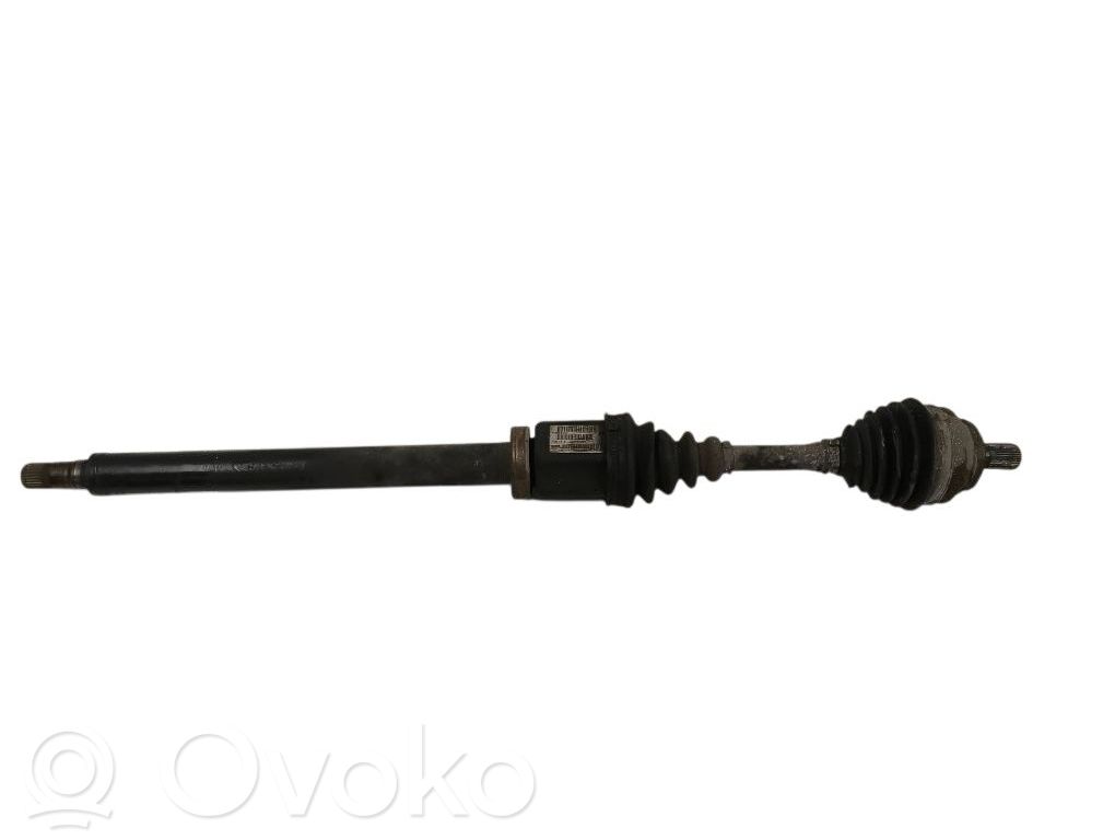 Priekšējā pusass   P8689224