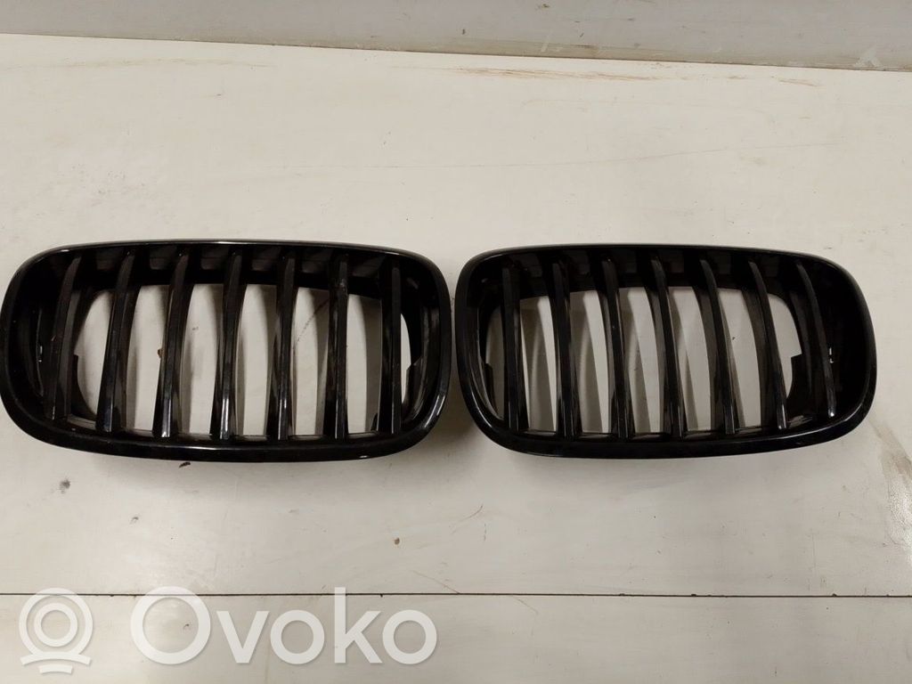 Kühlergrill   51137171395