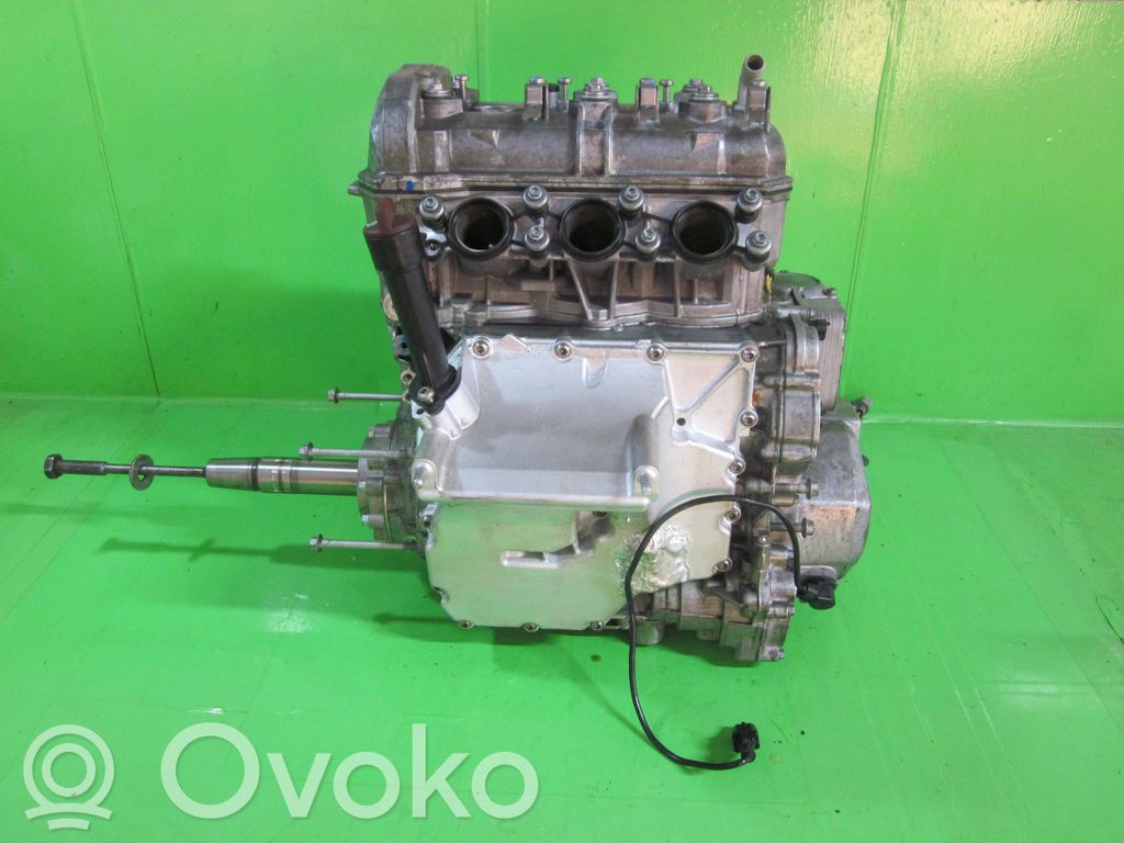 Motore   MP135169,TYPE903,012022,320903610,62988329,707002967,ROTAX