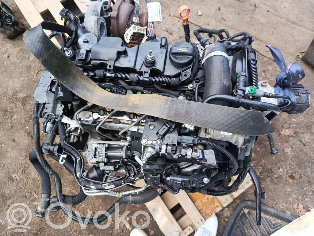 Motor   10JBCJ,9H05,3088041