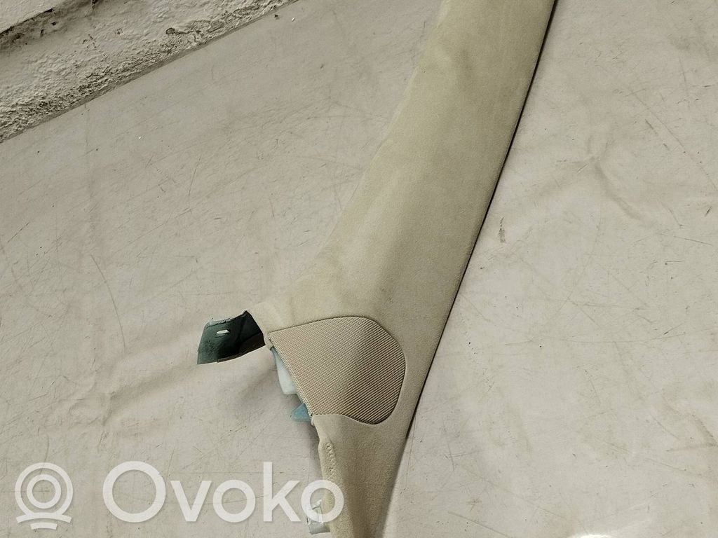 Tesla Model S (B) pillar trim (top) 