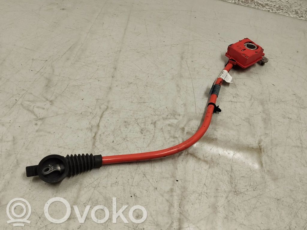 BMW 6 F06 Gran coupe Positive cable (battery) 