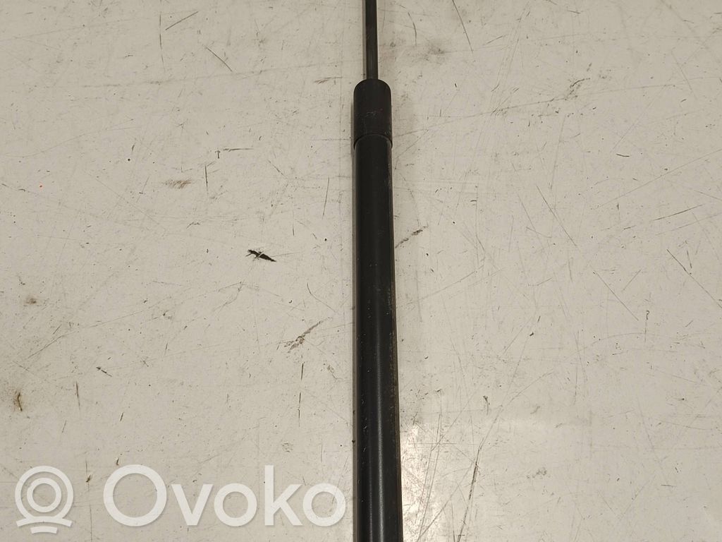 Tailgate/trunk strut/damper   575827550D