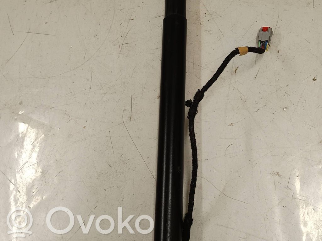 Ford Kuga III Tailgate strut 