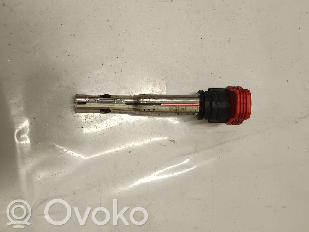 Porsche Cayenne (92A) Zündspule Zündmodul 