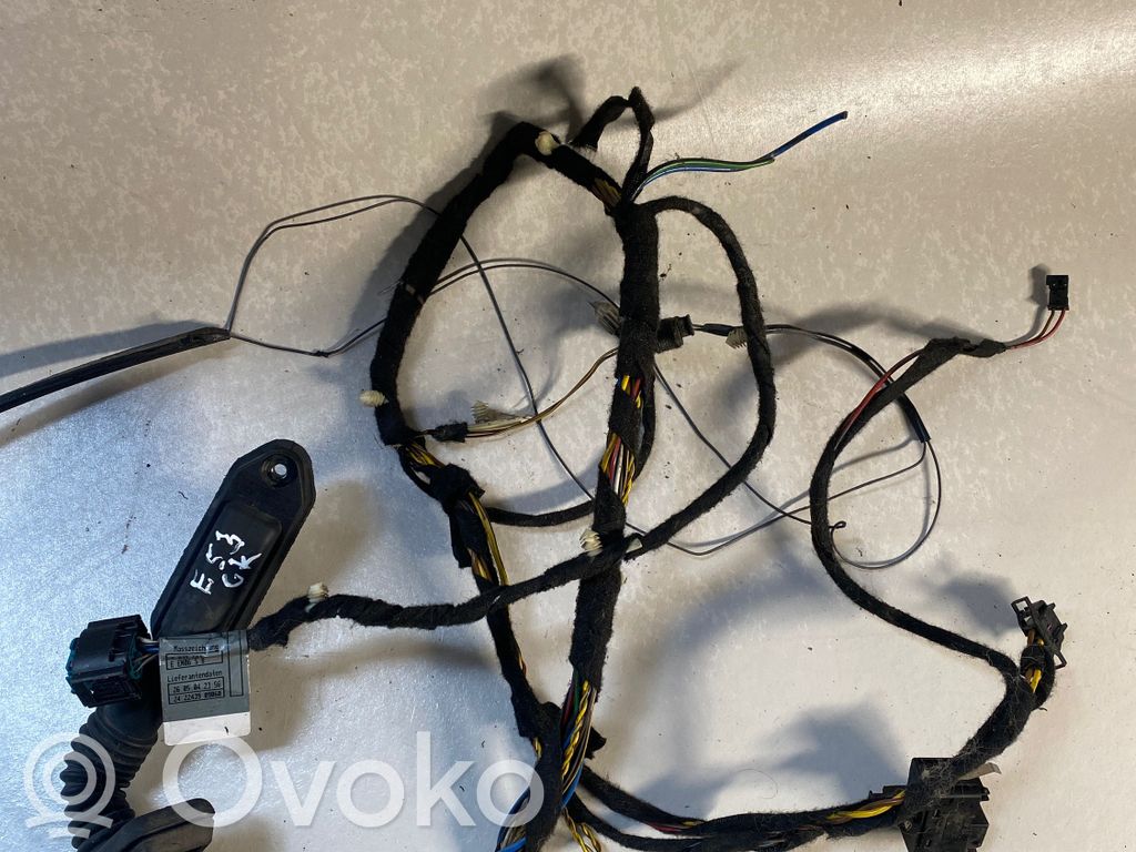 BMW X5 E53 Cableado de puerta trasera 