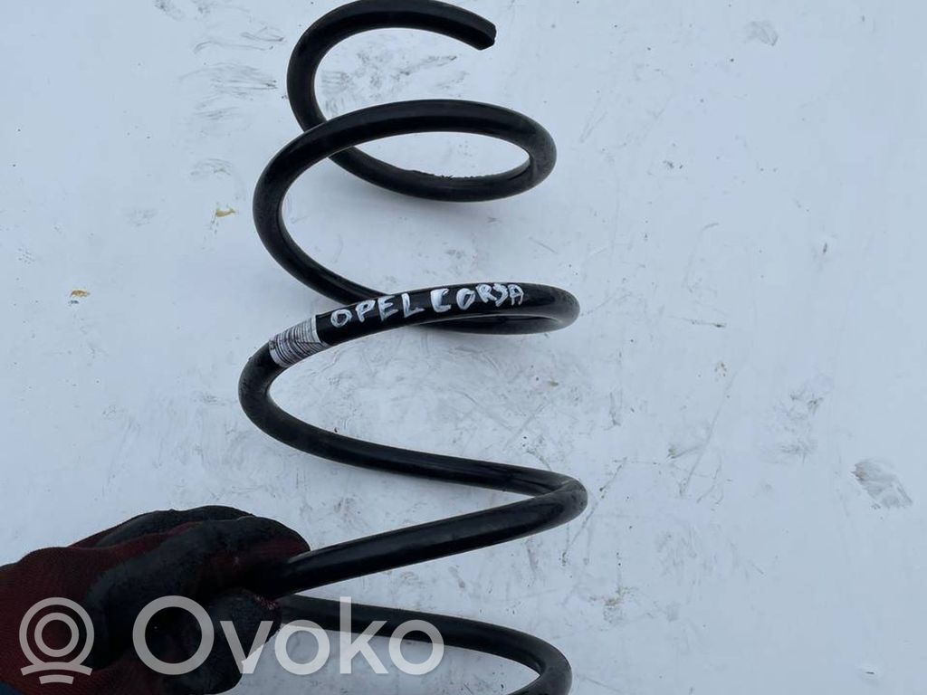 Front coil spring